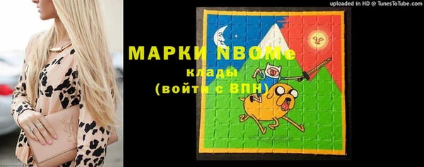 индика Новозыбков