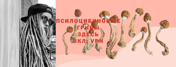 герыч Алексин