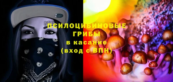 индика Новозыбков