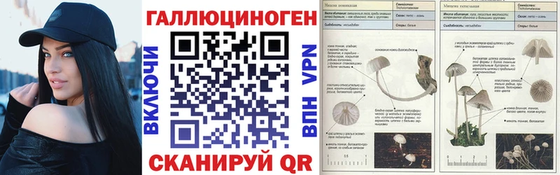 Галлюциногенные грибы прущие грибы  Новая Усмань 